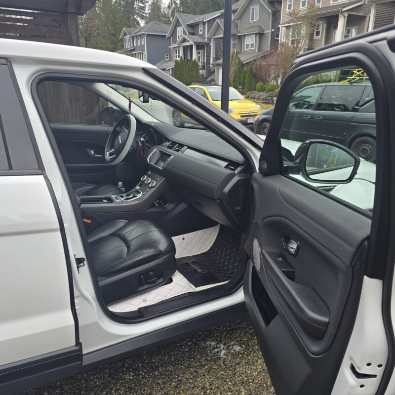 Fraser Valley Auto Detailing