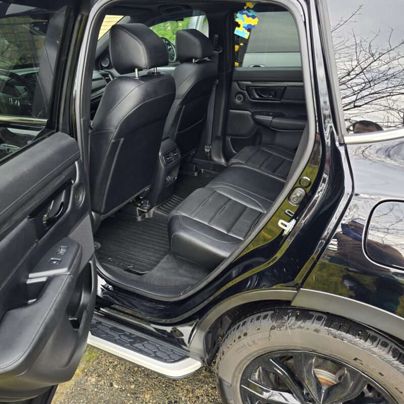 Professional Car Detailing Services Online